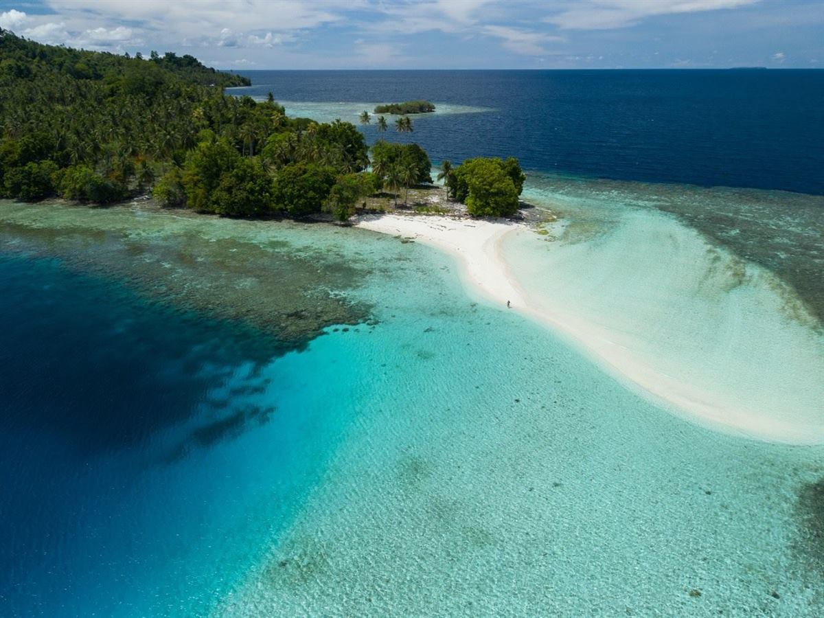Aerial view of a curving white sandbar off a palm-covered point, with reef flats and deep blue sea