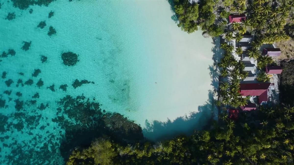 Top-down view of a white sand beach, coral patches in turquoise water and red-roofed huts under palms
