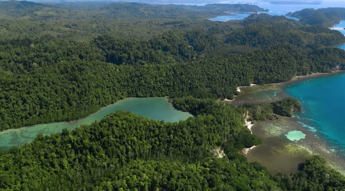 Aerial view of forested hills, a green inland lagoon and coral shallows along an island coastline
