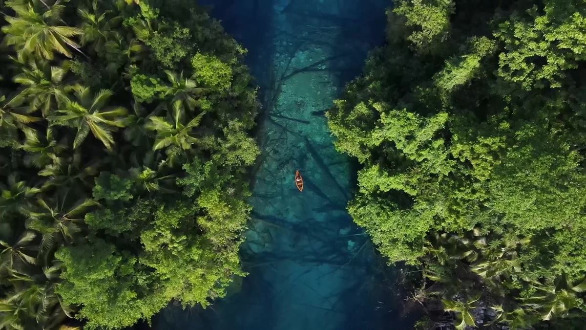 Top-down view of a small orange canoe on a clear blue channel over sunken trees, between dense jungle