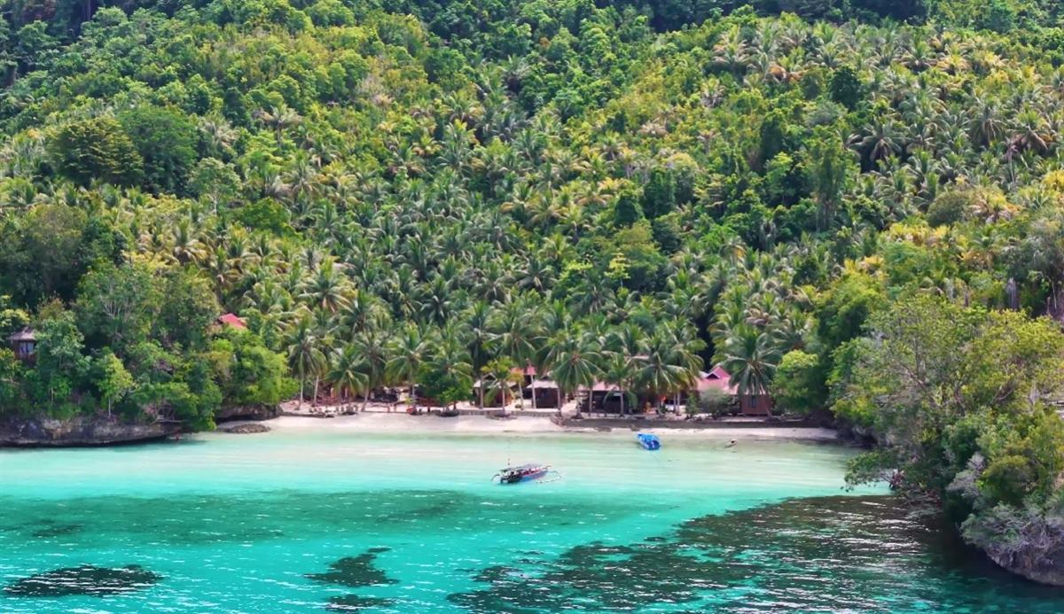Aerial view of a turquoise bay, outrigger boats and beach bungalows below a palm-covered hillside