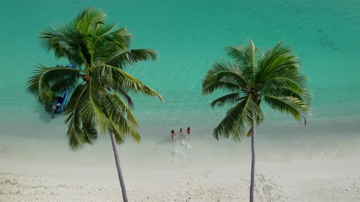 Aerial view of three people running into turquoise water between two coconut palms on white sand