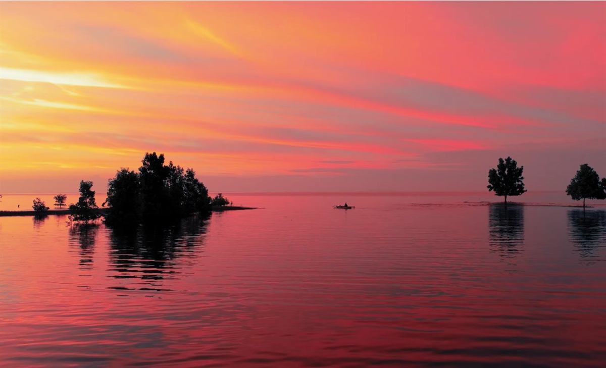 Silhouetted mangrove trees and a lone small boat on calm water under a vivid pink and orange sunset