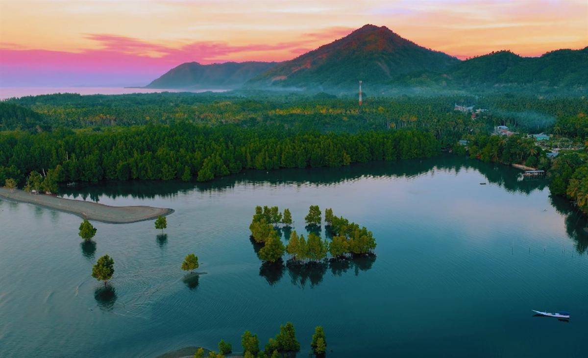 Aerial view of a calm bay with mangrove trees standing in the water below a forested peak at pink dusk