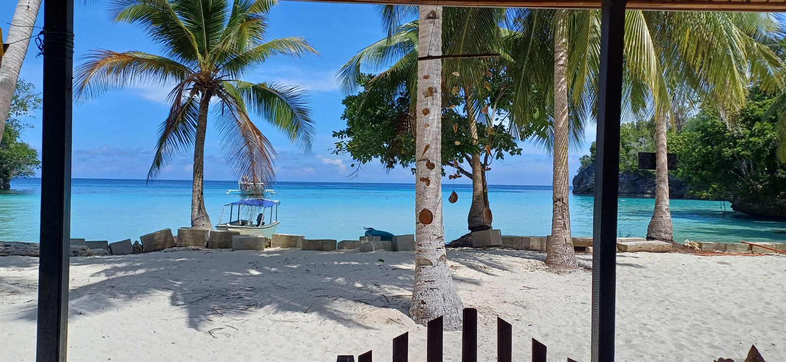 Palms leaning over white sand and turquoise shallows