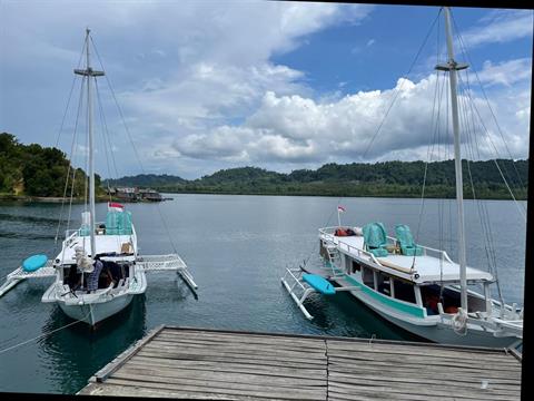 Traditional boats moored alongside a wooden jetty